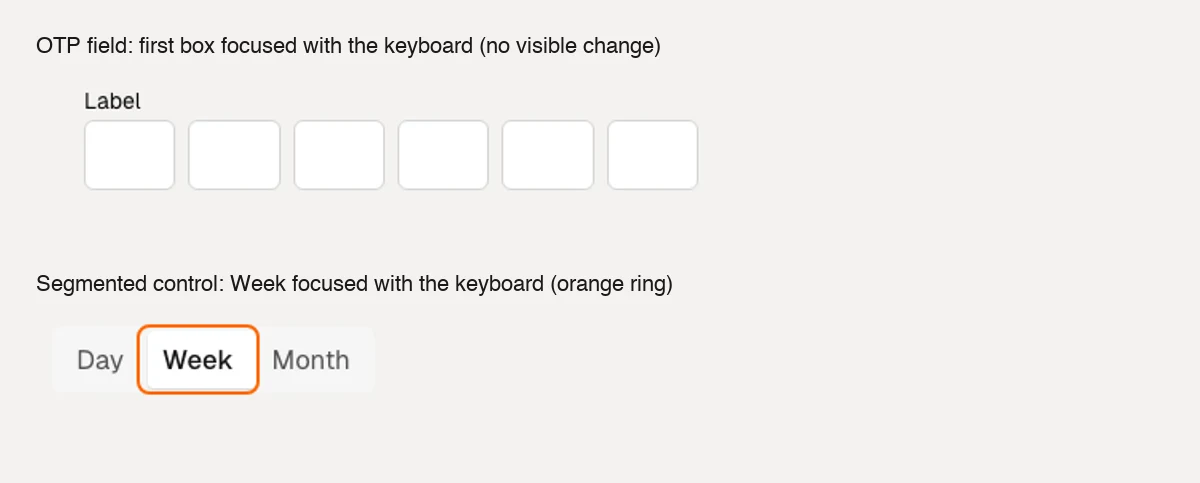 The OTP field with its first box focused shows no change; the segmented control with Week focused shows an orange ring